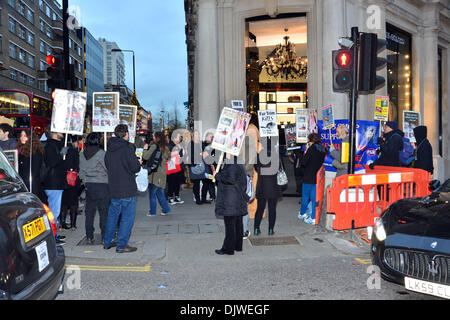 London, UK. 30. November 2013. Eine Gruppe von Anti-Pelz-Aktivisten halten Plakat gegen den Verkauf von Pelz Mäntel außerhalb Harvey Nochols und D & G in Knightsbridge in London. 30. November 2013, Foto von siehe Li / Alamy Live News Stockfoto