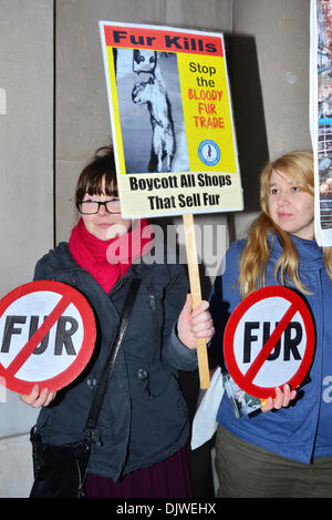 London, UK. 30. November 2013. Eine Gruppe von Anti-Pelz-Aktivisten halten Plakat gegen den Verkauf von Pelz Mäntel außerhalb Harvey Nochols und D & G in Knightsbridge in London. 30. November 2013, Foto von siehe Li / Alamy Live News Stockfoto
