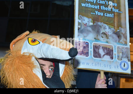London, UK. 30. November 2013. Eine Gruppe von Anti-Pelz-Aktivisten halten Plakat gegen den Verkauf von Pelz Mäntel außerhalb Harvey Nochols und D & G in Knightsbridge in London. 30. November 2013, Foto von siehe Li / Alamy Live News Stockfoto