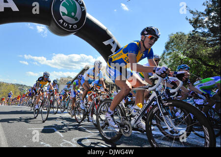 3. Oktober 2010 - Geelong, Victoria, Australien - LARSSON Gustav (SWE) während ein Klettern Steilstück 2010 UCI Road World Championships Elite Männer Straßenrennen in Geelong, Victoria, Australien. (Kredit-Bild: © Sydney Low/Southcreek Global/ZUMApress.com) Stockfoto