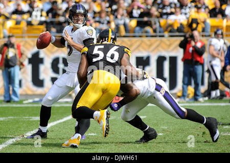 3. Oktober 2010 - Pittsburgh, PENNSYLVANNIA, Vereinigte Staaten von Amerika - Baltimore Ravens Quarterback JOE FLACCO (5) sieht, um den Pass als Baltimore Ravens Runningback WILLIS MCGAHEE (23) Blöcke Pittsburgh Steelers offensive Linebacker LAMARR WOODLEY (56) im ersten Quartal als die Steelers nehmen auf die Raben bei Heinz Field in Pittsburgh, Pennsylvania zu machen... Die Raben zu besiegen die Steelers, Stockfoto