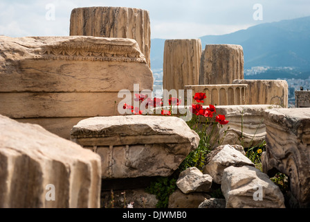 Murmeln fron Athen Parthenon Stockfoto