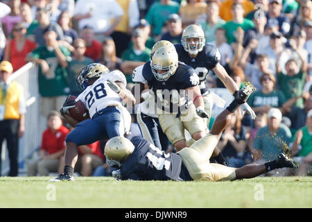 9. Oktober 2010 - South Bend, Indiana, Vereinigte Staaten von Amerika - Notre Dame außerhalb Linebacker Darius Fleming (#45) macht Tackle auf Pittsburgh Runningback Dion Lewis (#28) während der NCAA Football-Spiel zwischen Pittsburgh und Notre Dame.  Die Notre Dame Fighting Irish besiegte den Pittsburgh Panthers 23-17-Spiel im Stadion von Notre Dame in South Bend, Indiana. (Kredit-Bild: © John Mersit Stockfoto