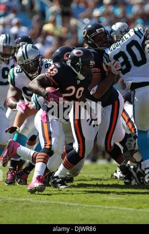 10. Oktober 2010; Chicago Bears Runningback Chester Taylor (29) stellt sich Upfield bei Bank of America Stadium in Charlotte, North Carolina. Chicago führt zur Halbzeit 17-3 über die Panthers... Jim Dedmon/CSM(Credit Image: © Jim Dedmon/Cal Sport Media/ZUMApress.com) Stockfoto