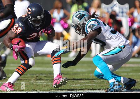 10. Oktober 2010; Chicago Bears Runningback Chester Taylor (29) stellt sich gegen die Carolina Panthers Sicherheit Charles Godfrey (30) bei Bank of America Stadium in Charlotte, North Carolina. Chicago schlägt die Panthers 23-6..Jim Dedmon/CSM(Credit Image: © Jim Dedmon/Cal Sport Media/ZUMApress.com) Stockfoto