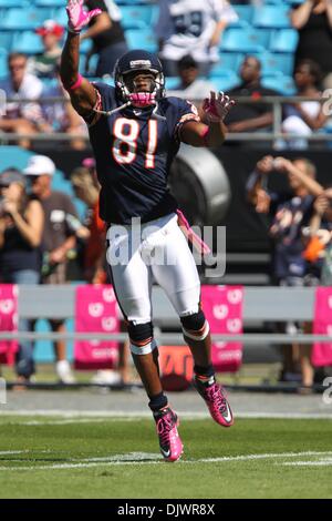 10. Oktober 2010; Chicago Bears Wide Receiver Rashied Davis (81) bei Bank of America Stadium in Charlotte, North Carolina. Chicago schlägt die Panthers 23-6..Jim Dedmon/CSM(Credit Image: © Jim Dedmon/Cal Sport Media/ZUMApress.com) Stockfoto