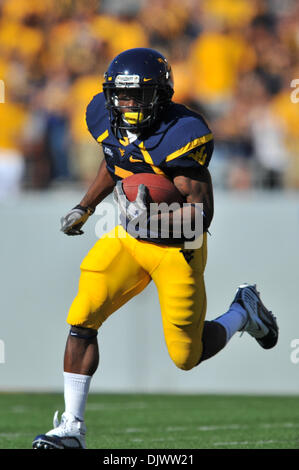 11. Oktober 2010 - Morgantown, West Virginia, Vereinigte Staaten von Amerika - West Virginia Noel Devine (7) sucht Zimmer gegen UNLV Samstag laufen.  West Virginia besiegte UNLV mit einem Score von 49-10. (Kredit-Bild: © Brian befreit/Southcreek Global/ZUMApress.com) Stockfoto