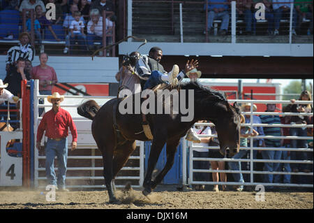 17. Oktober 2010 - Angola, Louisiana, USA - Insassen an der Louisiana State Penitentiary beteiligen das Reiten ohne Sattel-Ereignis beim Angola Prison Rodeo, in Angola, Louisiana am 17. Oktober 2010. (Kredit-Bild: © Scott Schexnaydre/ZUMApress.com) Stockfoto