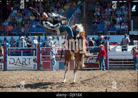 17. Oktober 2010 - Angola, Louisiana, USA - Insassen an der Louisiana State Penitentiary beteiligen das Reiten ohne Sattel-Ereignis beim Angola Prison Rodeo, in Angola, Louisiana am 17. Oktober 2010. (Kredit-Bild: © Scott Schexnaydre/ZUMApress.com) Stockfoto