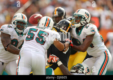 24. Oktober 2010 - Miami Gardens, FL - Florida, USA - Vereinigte Staaten - 102410 (Allen Eyestone/The Palm Beach Post) MIAMI GARDENS, FL SUN LIFE STADIUM. . Pittsburgh Steelers Vs Miami Dolphins... Pittsburgh Steelers-Quarterback Ben Roethlisberger (7) wird der Ball im vierten Quartal entzogen. (Kredit-Bild: © Palm Beach-Post/ZUMApress.com) Stockfoto