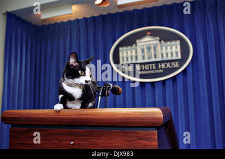 Socken steht die erste Katze auf dem Podium im Weißen Haus Besprechungsraum 5. Dezember 1993 in Washington, DC. Stockfoto