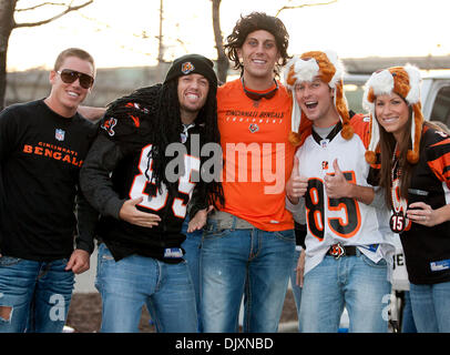 8. November 2010 Heckklappe - Cincinnati, Ohio, Vereinigte Staaten von Amerika - Cincinnati Bengal-Fans vor dem Spiel mit den Pittsburgh Steelers von Paul Brown Stadium. (Kredit-Bild: © Wayne Litmer/Southcreek Global/ZUMApress.com) Stockfoto