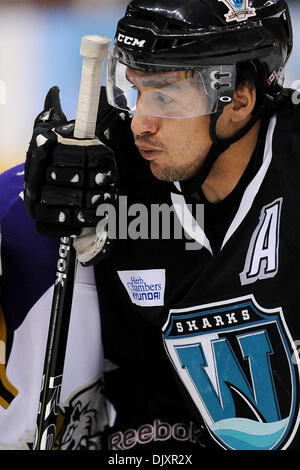 12. November 2010 - Manchester, New Hampshire, Vereinigte Staaten von Amerika - Worcester Sharks zwei Tore in der zweiten Periode auf 2: 0 über den Monarchen zu gehen. (Kredit-Bild: © Jim Melito/Southcreek Global/ZUMApress.com) Stockfoto