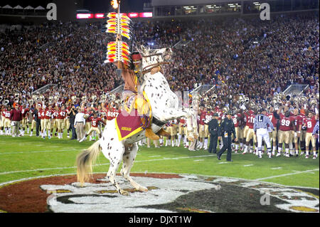 13. November 2010 - Tallahassee, Florida, Vereinigte Staaten von Amerika - 13. November 2010: Florida State Spieler anfeuern Chief Osceola, wie er den Speer im Mittelfeld kurz vor Beginn des Spiels Pflanzen. FSU besiegte Clemson16-13 Doak Campbell Stadium in Tallahassee, Florida, USA. (Kredit-Bild: © Mike Olivella/ZUMApress.com) Stockfoto