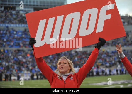 13. November 2010 - Colorado Springs, Colorado, Vereinigte Staaten von Amerika - New mexico Cheerleader halten ein "Wuff"-Zeichen. Die Air Force Falcons besiegt die New Mexico Lobos mit einem Score von 48-23 Falcon Stadium. (Kredit-Bild: © Andrew Fielding/Southcreek Global/ZUMApress.com) Stockfoto