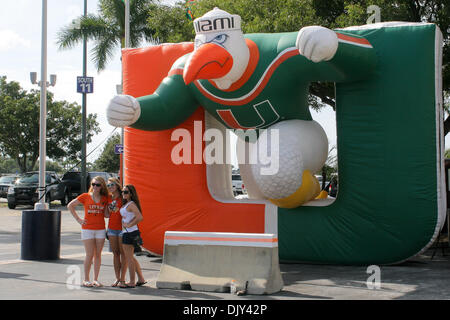 20. November 2010 - Fans Miami Gardens, Florida, Vereinigte Staaten von Amerika - das Spiel gegen die Virginia Tech Hokies bei Sun Life Stadium in Miami Gardens, Florida.  Die Hokies besiegte die Hurricanes 31-17. (Kredit-Bild: © Aaron Gilbert/Southcreek Global/ZUMAPRESS.com) Stockfoto