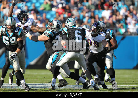 21. November 2010; Baltimore Ravens kommt defensives Ende Paul Kruger (99) für der Plünderung auf Carolina Panthers in quarterback Brian St. Pierre (6) bei Bank of America Stadium in Charlotte, North Carolina. Kerbe in der Mitte ist Ravens 17 - Carolina 3. Jim Dedmon/CSM(Credit Image: © Jim Dedmon/Cal Sport Media/ZUMAPRESS.com) Stockfoto