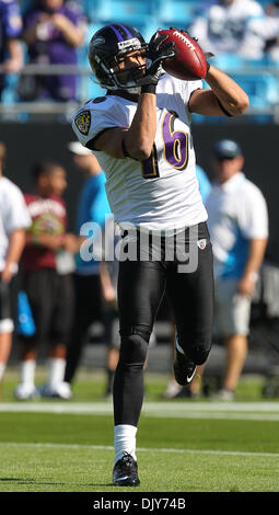 21. November 2010 - Charlotte, North Carolina, Vereinigte Staaten von Amerika - Baltimore Ravens Wide Receiver David Reed (16) wärmt vor dem Spiel zwischen den Baltimore Ravens und die Carolina Panthers bei Bank of America Stadium. (Kredit-Bild: © Margaret Bowles/Southcreek Global/ZUMAPRESS.com) Stockfoto