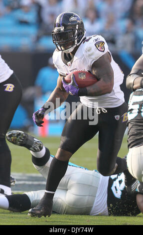 21. November 2010 durchbricht - Charlotte, North Carolina, Vereinigte Staaten von Amerika - Baltimore Ravens Runningback Baltimore Ravens Runningback Willis McGahee (23) die Carolina Panther defensive Linie im Spiel zwischen den Raben und die Panthers bei Bank of America Stadium, Sonntag, Nov 21. 2010. der Ravens besiegte die Panthers 37-13. (Kredit-Bild: © Margaret Bowles/Southcreek Stockfoto