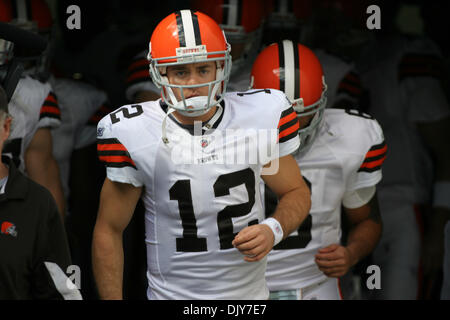 21. November 2010 - Jacksonville, Florida, Vereinigte Staaten von Amerika - 21. November 2010: Cleveland Browns quarterback Colt McCoy (12) wartet im Tunnel während Warm Ups vor dem Cleveland Browns und Jacksonville Jaguars Spiel in Everybank Field in Jacksonville, Florida. (Kredit-Bild: © Perry Knotts/Southcreek Global/ZUMAPRESS.com) Stockfoto