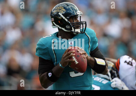 21. November 2010 - Jacksonville, Florida, Vereinigte Staaten von Amerika - 21. November 2010: Jacksonville Jaguars quarterback David Garrard (9) Tropfen zurück für einen Pass während des Spiels zwischen den Cleveland Browns und Jacksonville Jaguars in EverBank Field in Jacksonville, Florida.The Jaguare besiegte die Browns 24-20. (Kredit-Bild: © Perry Knotts/Southcreek Global/ZUMAPRESS.com) Stockfoto