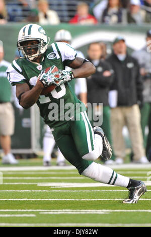 21. November 2010 - East Rutherford, New Jersey, Vereinigte Staaten von Amerika - New York Jets Wide Receiver Santonio Holmes (10) in Aktion bei The New Meadowlands Stadium in East Rutherford, New Jersey Houston fällt auf die 30-27Jets (Credit-Bild: © Brooks Von Arx/Southcreek Global/ZUMAPRESS.com) Stockfoto