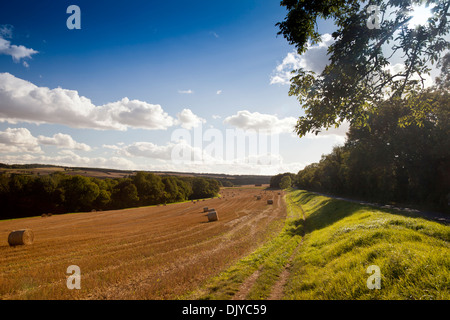 Stroh Rundballen in einem kürzlich geernteten Feld neben Campden Wood in der Nähe von Chipping Campden, Gloucestershire, England, UK Stockfoto