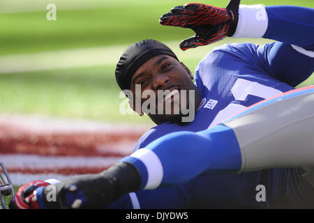 New York Giants Cornerback Aaron Ross (31) erstreckt sich während Pre Spiel Poloshirt für Woche 12 NFL Aktion zwischen den New York Giants und die Jacksonville Jaguars im New Meadowlands Stadium in East Rutherford, NJ (Credit-Bild: © Willen Schneekloth/Southcreek Global/ZUMAPRESS.com) Stockfoto
