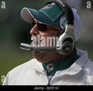 28. November 2010 - Oakland, CA, USA - Oakland Raiders Vs Miami Dolphins im Oakland-Alameda County Coliseum Sonntag, 10. Oktober 2010.  Delphine Head Coach Tony Sparano.Raiders locker um Delfine 33-17 (Credit-Bild: © Al Golub/ZUMAPRESS.com) Stockfoto