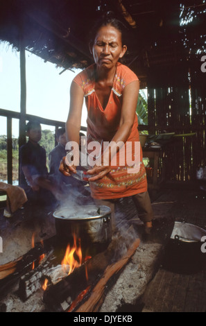 Frau Koch Fisch über offenen Feuer in ihrer Hütte im peruanischen Amazonasgebiet am Rio Tahuayo Stockfoto