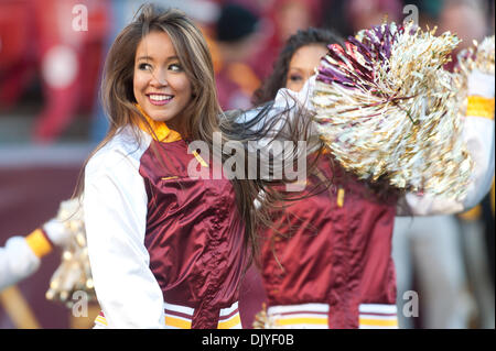 28. November 2010 - Landover, Maryland, Vereinigte Staaten von Amerika - FedEx Field NFL Spiel Action, Endstand; Wikinger 17 Redskins 13 (Kredit-Bild: © Roland Pintilie/Southcreek Global/ZUMAPRESS.com) Stockfoto