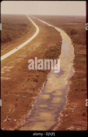 Alligator Alley ist eine 77 km lange Mautstraße in Ost-West, die die Everglades-Region in Florida durchquert. Die Straße ist eine wichtige Route für den Transport durch dieses einzigartige Ökosystem. Stockfoto