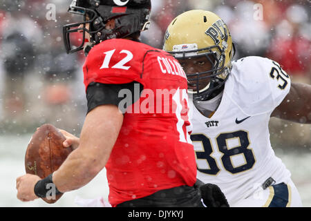 4. Dezember 2010 - Cincinnati, Ohio, Vereinigte Staaten von Amerika - Pittsburgh Panthers Linebacker legt Greg Williams (38) die Sehfähigkeit auf Cincinnati Bearcats quarterback Zach Collaros (12) für der Plünderung während der zweiten Hälfte des Spiels zwischen der University of Cincinnati Bearcats und der University of Pittsburgh Panthers.The Spiel spielte Nippert Stadium, Cincinnati, Ohio. Endgültige Scor Stockfoto
