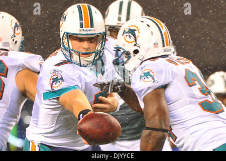 12. Dezember 2010 - East Rutherford, New Jersey, Vereinigte Staaten von Amerika - Miami Dolphins quarterback Chad Henne (7) in Aktion während der AFC East Matchup zwischen den Miami Dolphins und die New York Jets in The New Meadowlands Stadium in East Rutherford, New Jersey Miami Niederlagen New York 05:50. (Kredit-Bild: © Brooks Von Arx/Southcreek Global/ZUMAPRESS.com) Stockfoto