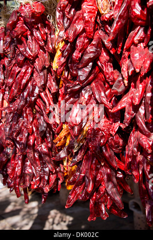 Arizona, Tucson, Tubac. Südwesten rote Chilischoten hängenden Trauben zum trocknen. Stockfoto