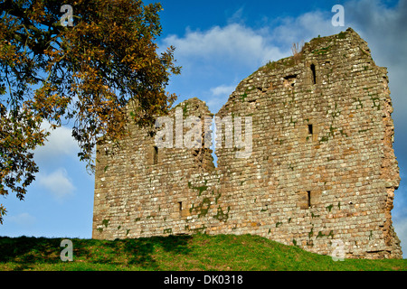 Thirlwall Schloß nahe Greenhead in Northumberland liegt neben Tipalt brennen. Stockfoto