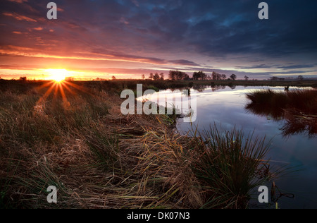 Sonnenstrahlen über Sumpf bei Sonnenaufgang, Onlanden, Drenthe, Niederlande Stockfoto