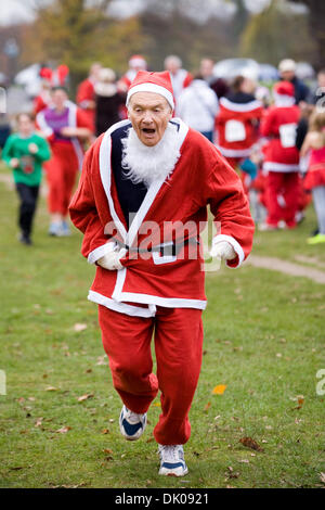 Hampton, London. 1. Dezember 2013. Starten Sie die festliche Weihnachtszeit Advent, ältere Läufer beteiligt sich an der jährlichen Santa 5km Fun Run in Bushy Park, Hampton, TW11 0EQ UK der Veranstaltung besteht darin, Gelder für die Prinzessin Alice Hospiz. © David Gee/Alamy Stockfoto