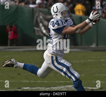 26. Dezember 2010 - Oakland, CA, USA - Oakland Raiders Vs Indianapolis Colts im Oakland-Alameda County Coliseum Sonntag, 26. Dezember 2010.  Indianapolis Colts-Tight-End Jacob Tamme #84 fängt Quarterback Peyton Manning #18 Pass... Raiders verlieren, Colts 26 bis 31 (Credit-Bild: © Al Golub/ZUMAPRESS.com) Stockfoto