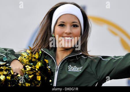 31. Dezember 2010 preforms - Charlotte, North Carolina, USA - South Florida Bulls Cheerleader vor dem heutigen Spiel. USF Niederlagen Clemson Tigers 31-26 bei Bank of America Stadium in Charlotte, North Carolina. (Kredit-Bild: © Anthony Barham/Southcreek Global/ZUMAPRESS.com) Stockfoto