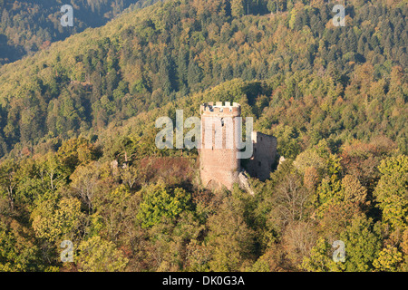 LUFTAUFNAHME. Verlassene Burg in den östlichen Vogesen. Burg Haut-Ribeaupierre, Ribeauvillé, Haut-Rhin, Elsass, Grand Est, Frankreich. Stockfoto