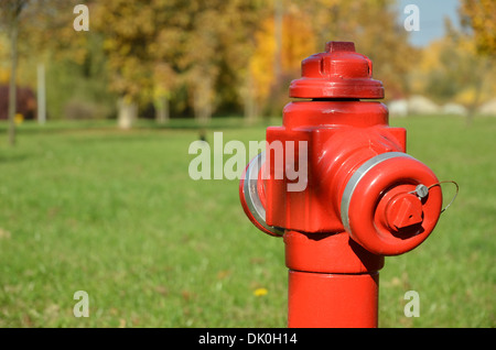 Red Fire Hydrant auf der grünen Wiese Stockfoto