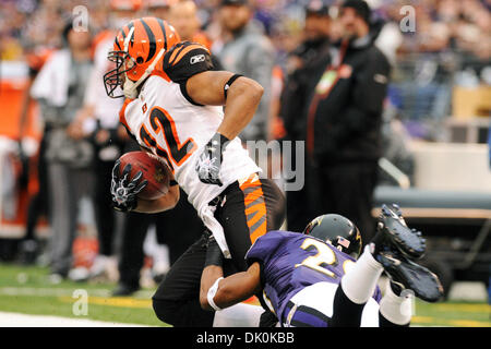 2. Januar 2011 - Baltimore, Maryland, Vereinigte Staaten von Amerika - Baltimore Ravens Sicherheit Ed Reed (20) Tauchgänge gegen die Cincinnati Bengals Runningback Cedric Benson (32) in der zweiten Hälfte der Sonntag Nachmittag Spiel M & T Bank Stadium in Baltimore, Maryland. Die Ravens besiegte die Bengals 13-7. (Kredit-Bild: © Russell Tracy/Southcreek Global/ZUMAPRESS.com) Stockfoto