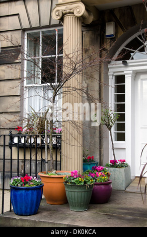 Einige Winter Farbe vor der Haustür eines Wohnsitzes in Edinburghs Neustadt. Stockfoto