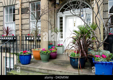 Einige Winter Farbe vor der Haustür eines Wohnsitzes in Edinburghs Neustadt. Stockfoto