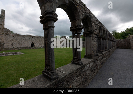 Jerpoint Abbey Kloster, einer zerstörten Zisterzienserabtei in der zweiten Hälfte des 12. Jahrhunderts gegründet. Irland Stockfoto