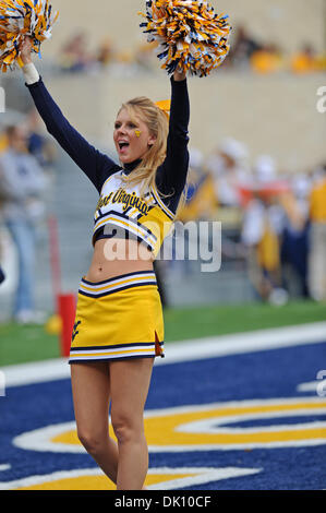 23. Oktober 2010 führt - Morgantown, West Virginia, Vereinigte Staaten von Amerika - A WVU Cheerleader während pregame Aktivitäten vor einem Spiel gegen Syrakus. Syrakus verärgert WVU 19-14 bei Mountaineer Field. (Kredit-Bild: © Ken Inness/Southcreek Global/ZUMApress.com) Stockfoto