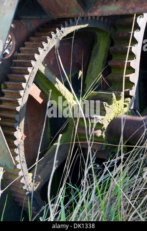 alte Zähne und Räder vom Winde Stockfoto