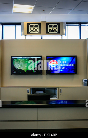 Tampa International Airport Tor 80 und 79 Information desk Stockfoto