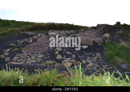 Catkin Braes MTB Strecke Stockfoto